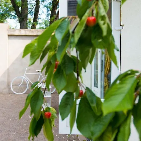 Ekonom-domik Hotel *